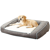 Frisco Orthopedic Sofa Dog Bed