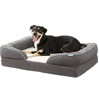 Frisco Plush Orthopedic Front Bolster Dog Bed
