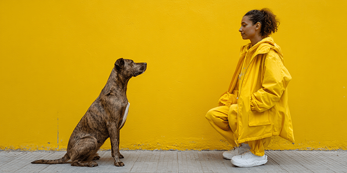 Embark’s New Personality Quiz