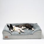 VersaTails Orthopedic Dog Bed - Gray Noorah
