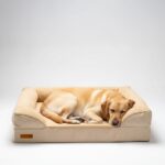 VersaTails Orthopedic Dog Bed - beige marley
