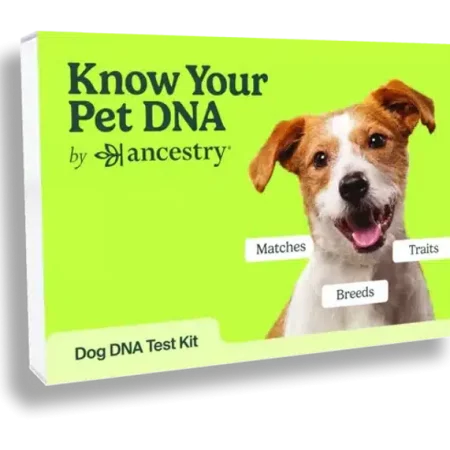 ancestry know your pet dna test kit